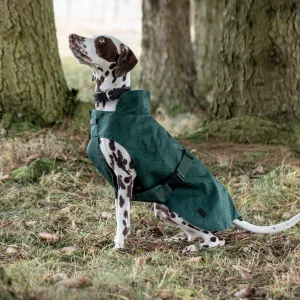 Abrigo con Estampado para Perro Noir Mountain View Green 40