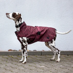 Abrigo con Estampado para Perro Noir Burgundy Red Mahogany 50