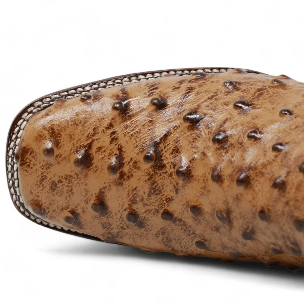 Botas de Avestruz Grabado Horma Rodeo para Mujer Color Miel WD-499 - Imagen 7