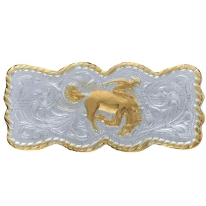 Placa para Sombrero Doma de Potro IMP-29123