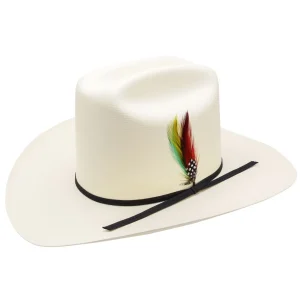 Sombrero Calidad 10,000X en Horma Los Dos Carnales Copa Alta con Plumas WD-10K2C