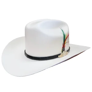 Sombrero Tombstone 10,000X Estilo Sinaloa con Plumas Ala 3 1/2"