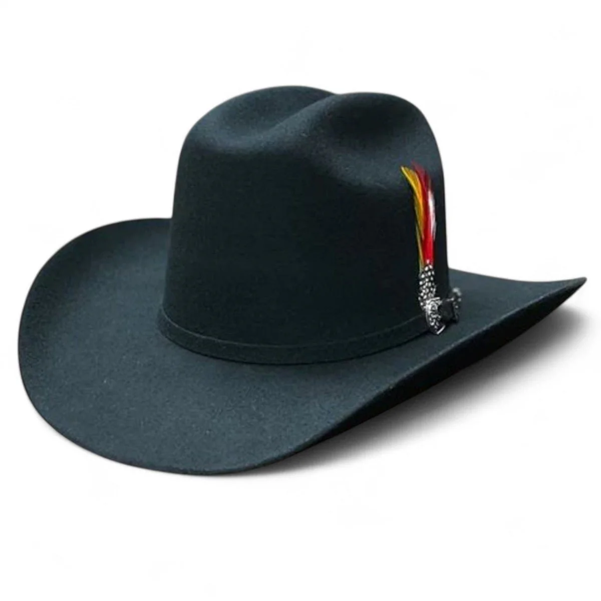 Texana Cuernos Chuecos 6X Horma Durango Negra con Plumas